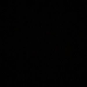 Cherokee Blue & Pink shorts bundle